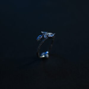 Elegant silver ring with gemstones.