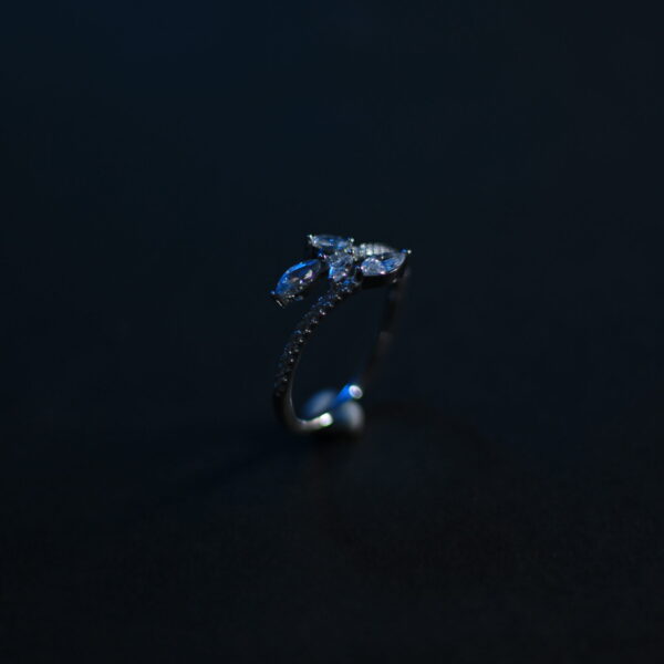 Elegant silver ring with gemstones.