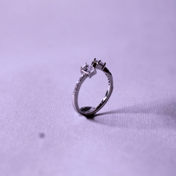 Silver Oxidized Antique Band