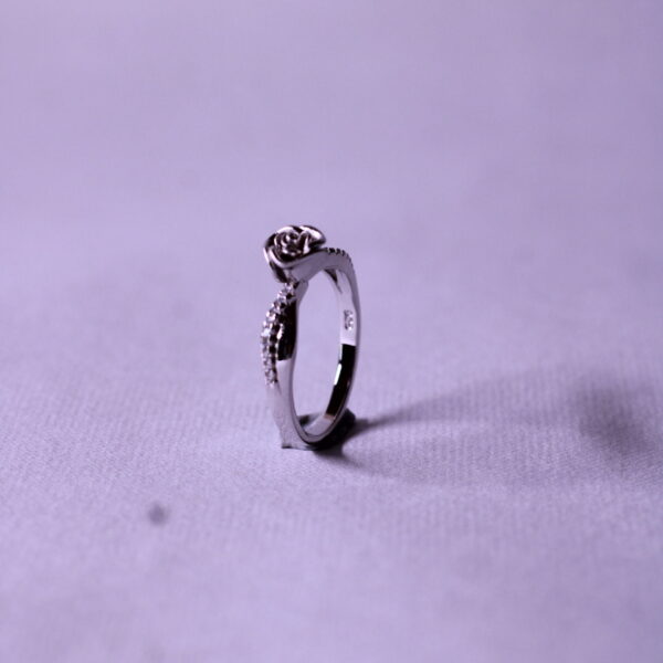 Silver Eternal Shine Band