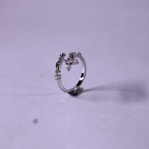 Silver ring in minimal design