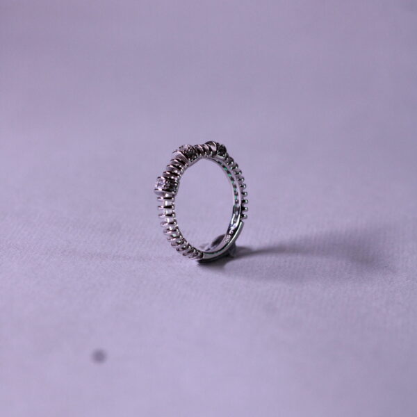 Silver Elegant Eternal Ring